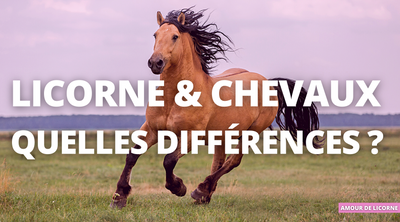 Licornes et chevaux: quelles différences ?